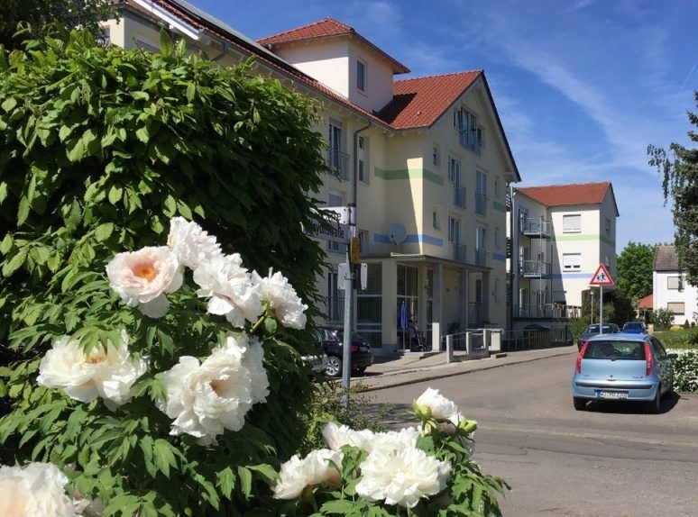 Das Johannes Centrum in Osthofen von außen, im Vordergrund blühende Pfingstrosen