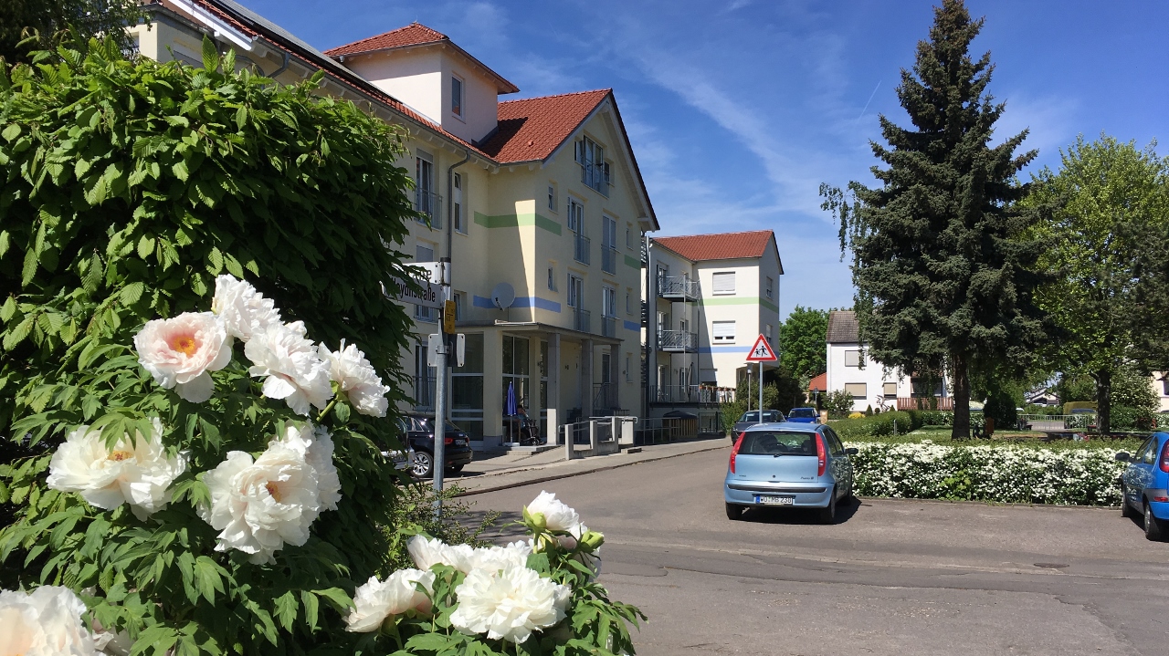 Unsere Veranstaltungen im Juni 2019